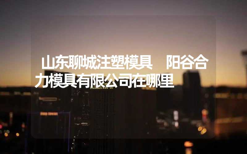 山东聊城注塑模具 阳谷合力模具有限公司在哪里
